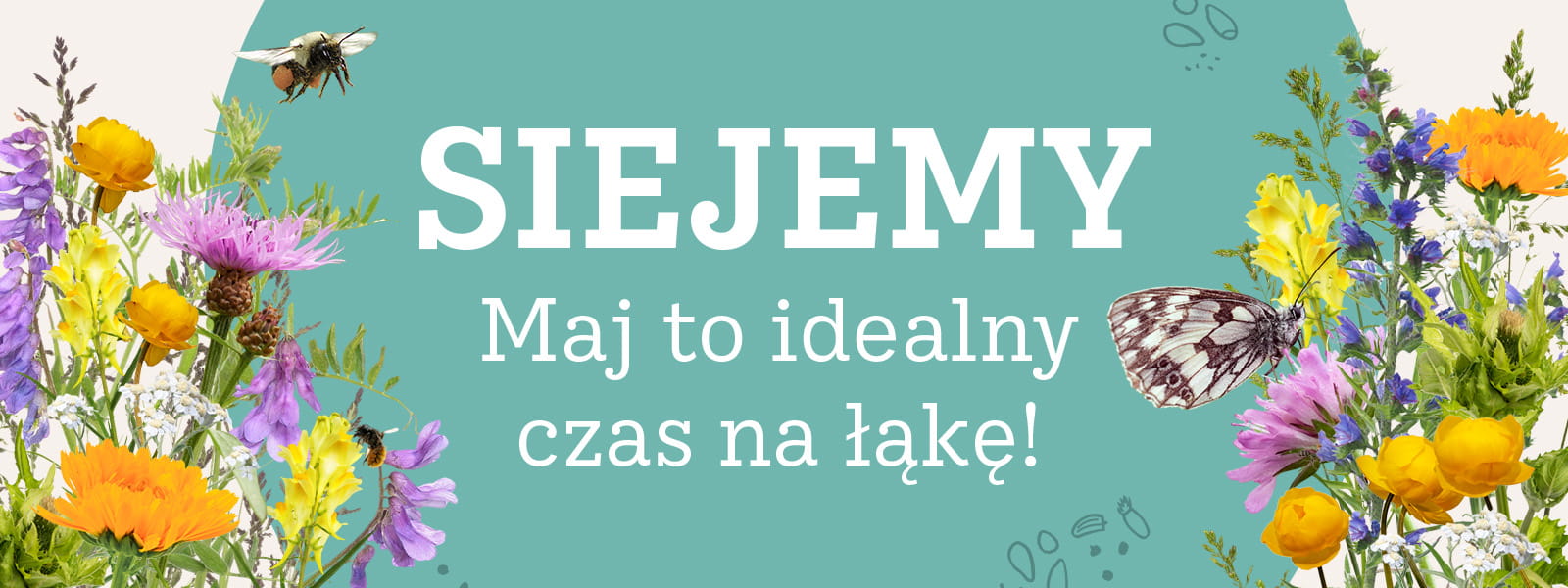 Grafika z napisem SIEJEMY, maj to idealny czas na łąkę