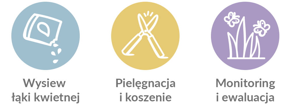 wysiew łąki kwietnej, pielęgnacja i koszenie, monitoring i ewaluacja